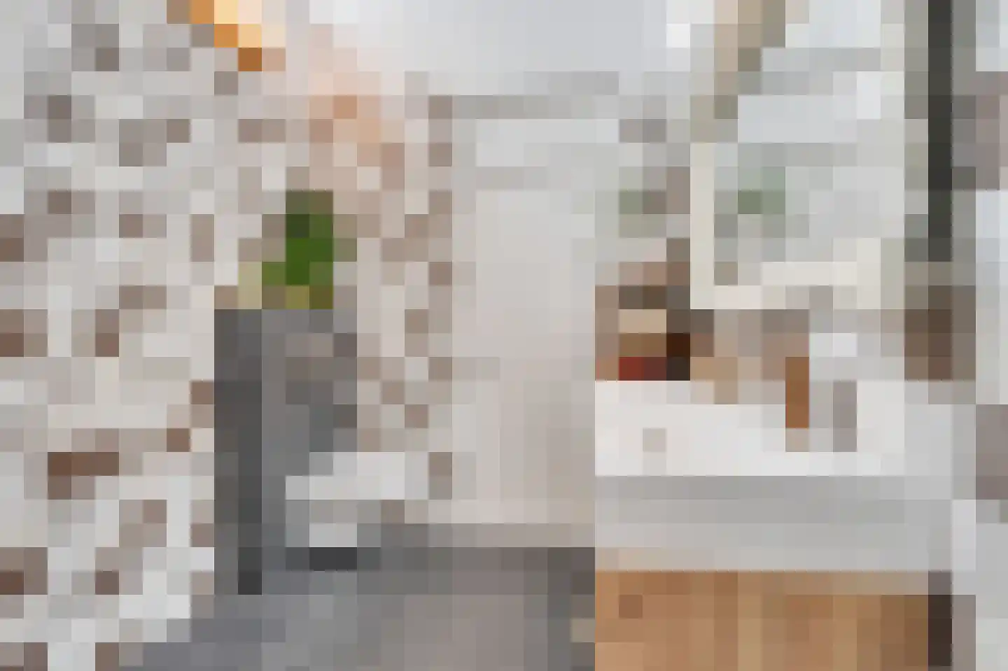 Verzetslaan 8 Warmenhuizen thumbnail 33