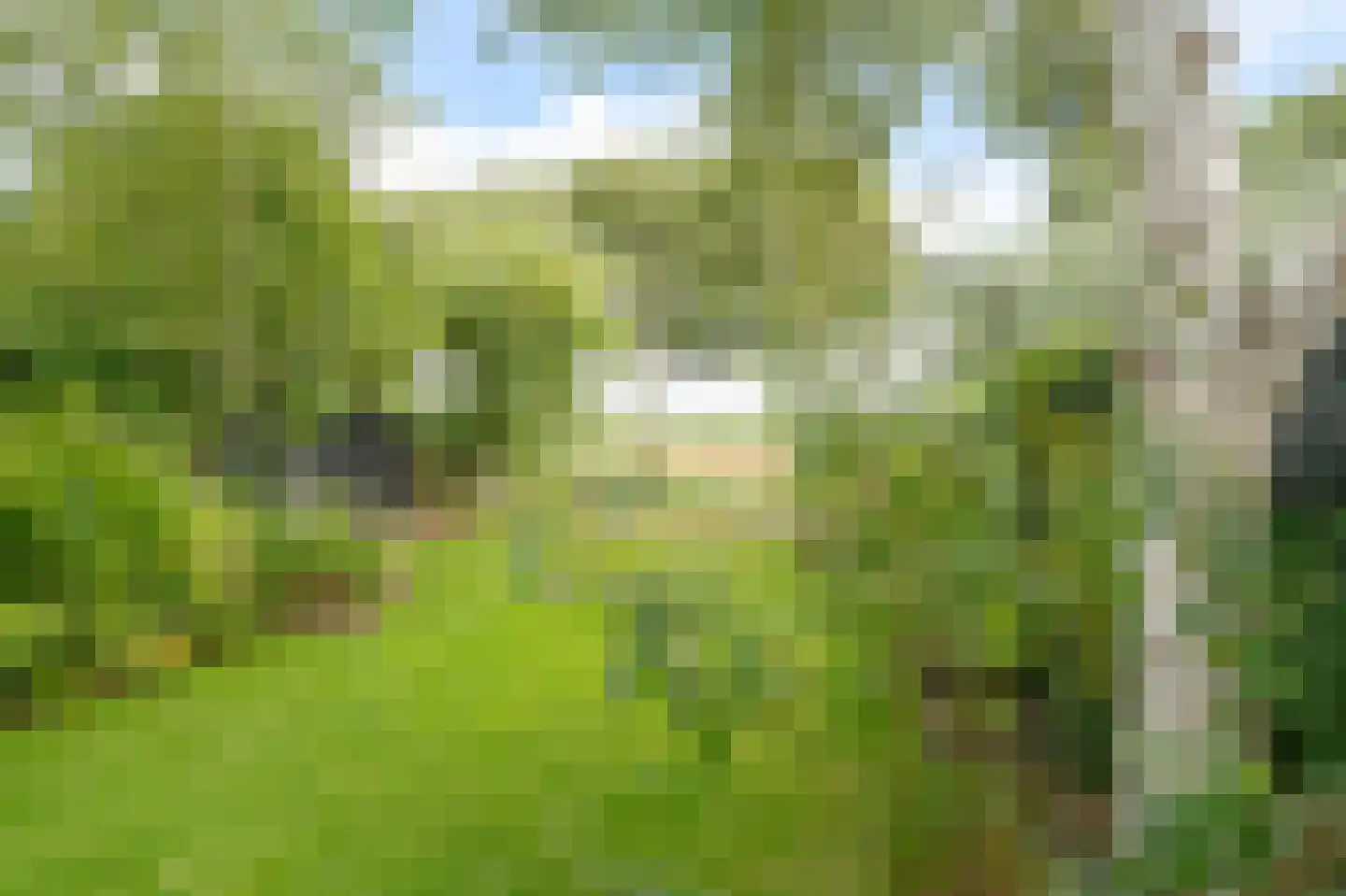 Verzetslaan 8 Warmenhuizen thumbnail 41