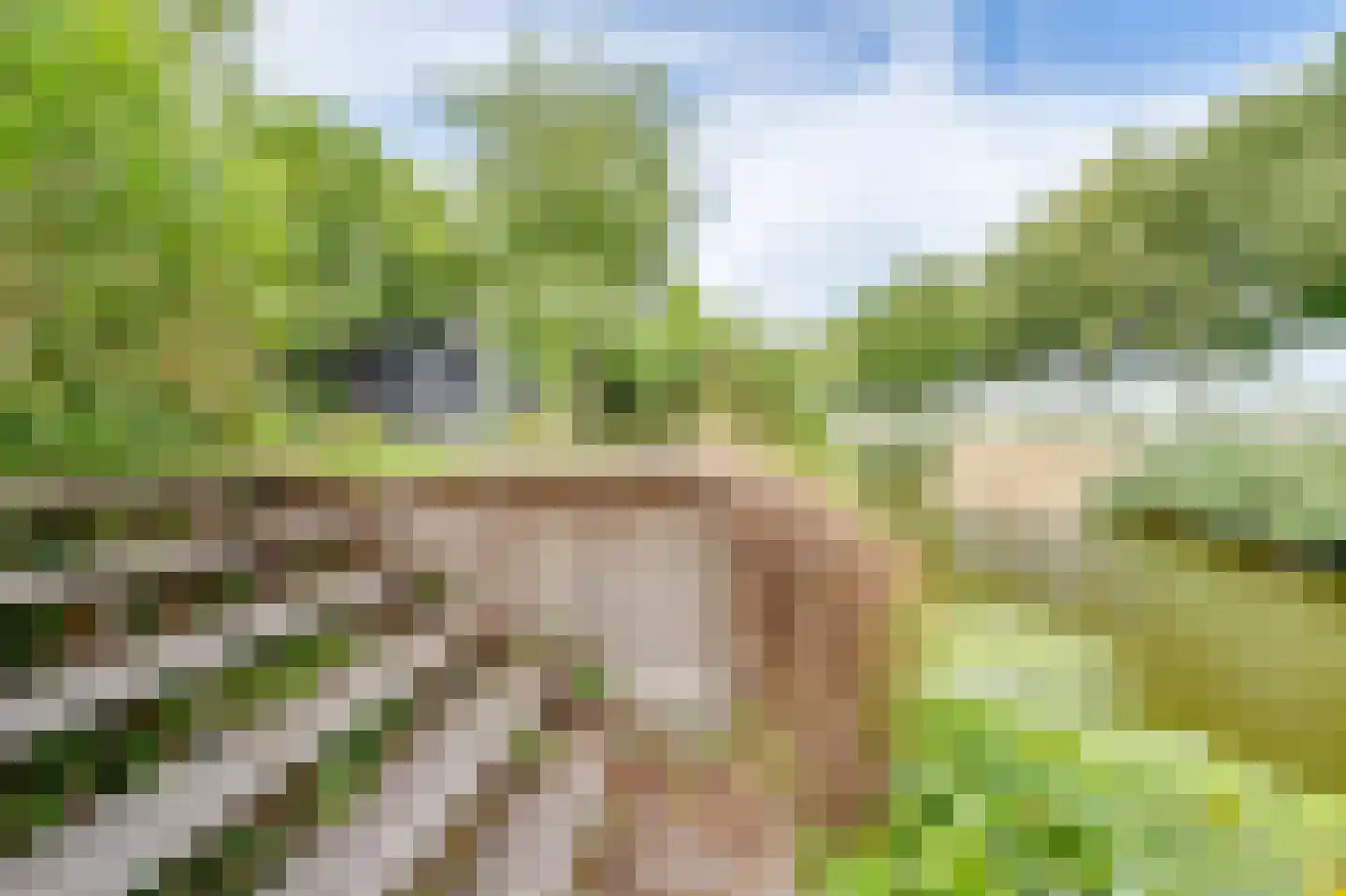 Verzetslaan 8 Warmenhuizen thumbnail 42