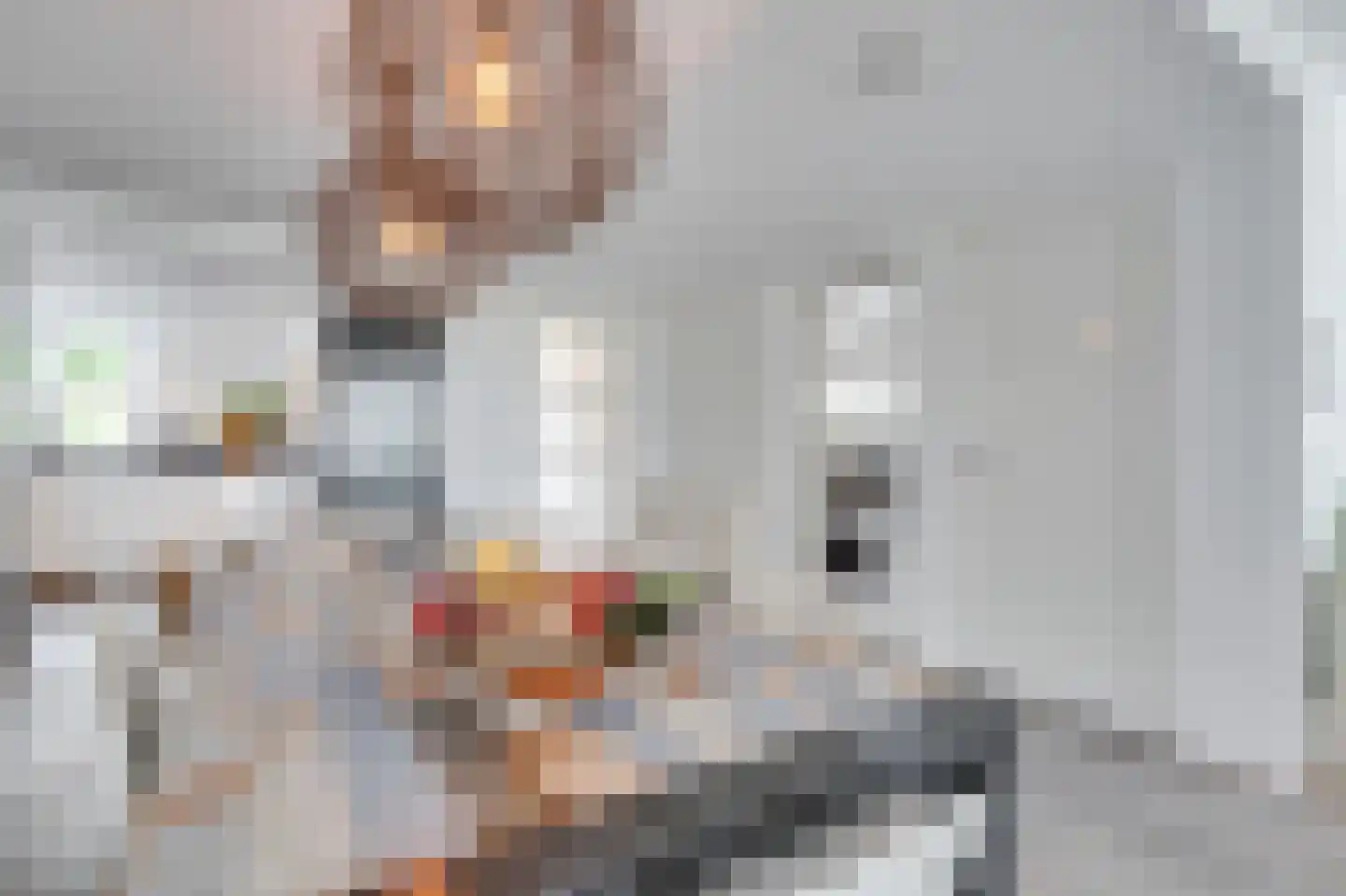 Verzetslaan 8 Warmenhuizen thumbnail 8