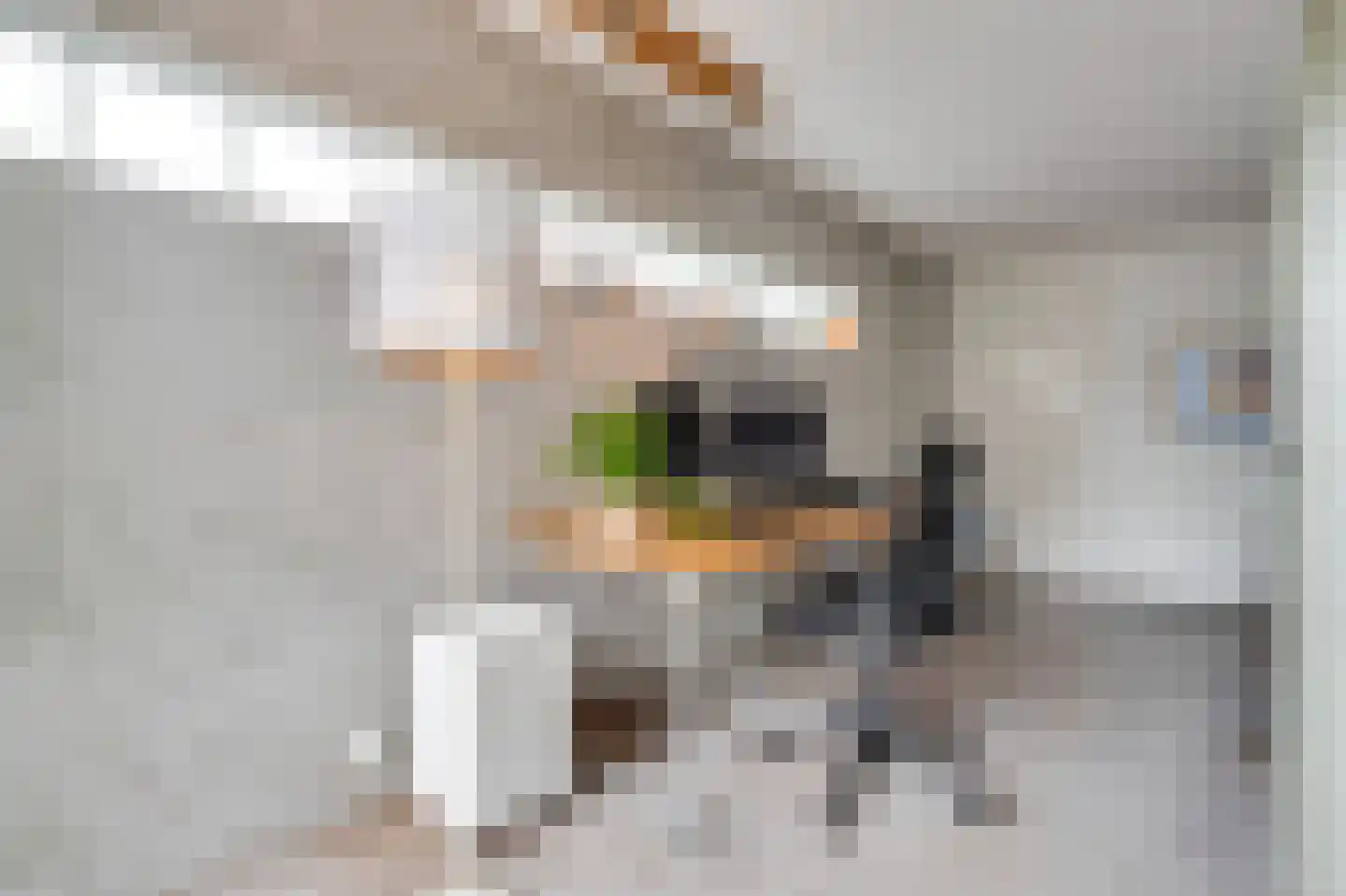Verzetslaan 8 Warmenhuizen thumbnail 9