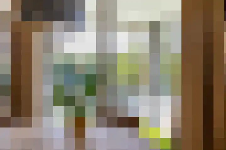 Verzetsplein 14 Borne thumbnail 10