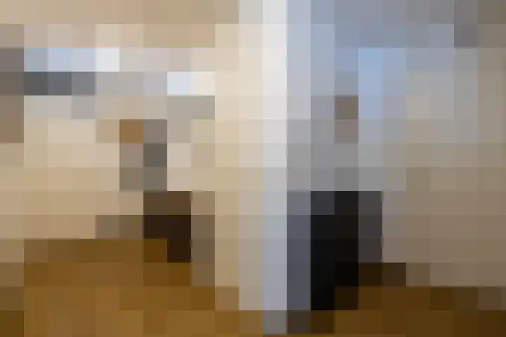 Verzetsplein 14 Borne thumbnail 14