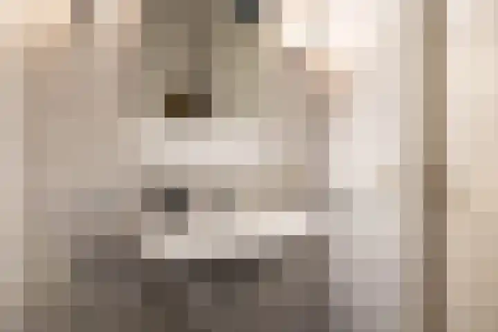 Verzetsplein 14 Borne thumbnail 16