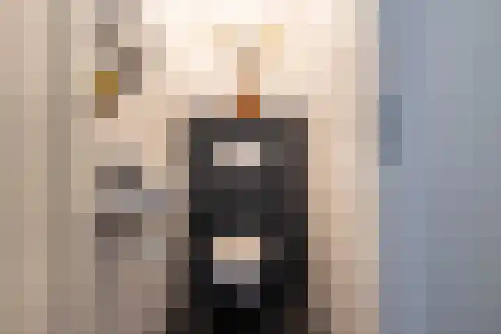 Verzetsplein 14 Borne thumbnail 22
