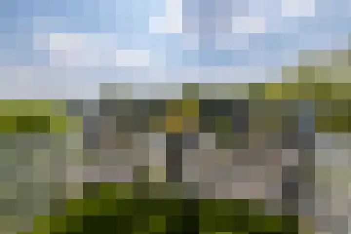 Verzetsplein 14 Borne thumbnail 25