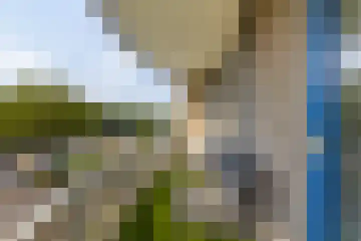Verzetsplein 14 Borne thumbnail 26
