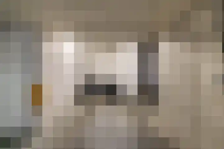 Verzetsplein 14 Borne thumbnail 30