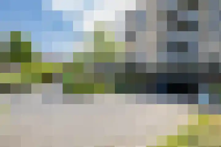 Verzetsplein 14 Borne thumbnail 32