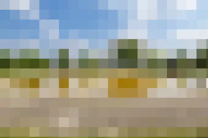 Verzetsplein 14 Borne thumbnail 35