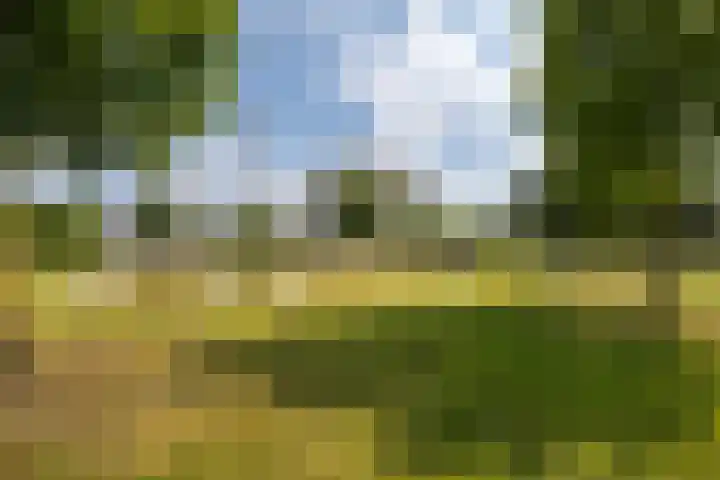 Verzetsplein 14 Borne thumbnail 36