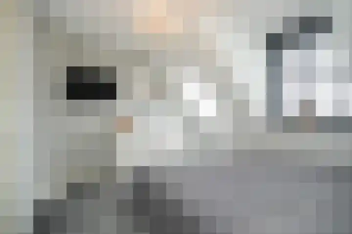 Verzetsplein 4 Veen thumbnail 17