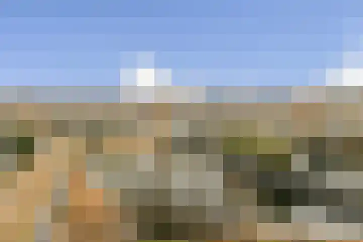 Verzetsplein 48 Zandvoort thumbnail 9
