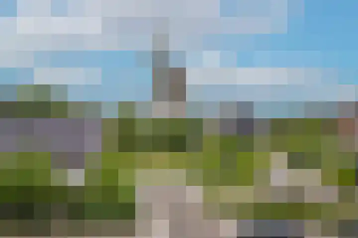 Verzetsplein 49 Veen thumbnail 25