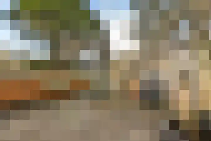 Verzetsplein 56 Zandvoort thumbnail 14