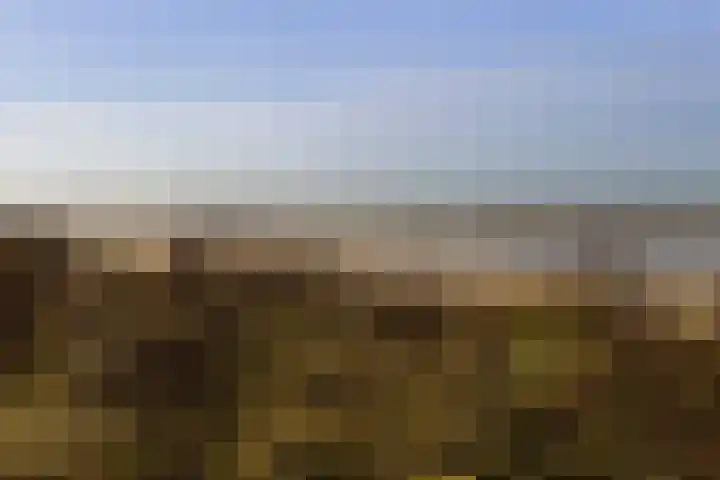 Verzetsplein 56 Zandvoort thumbnail 30