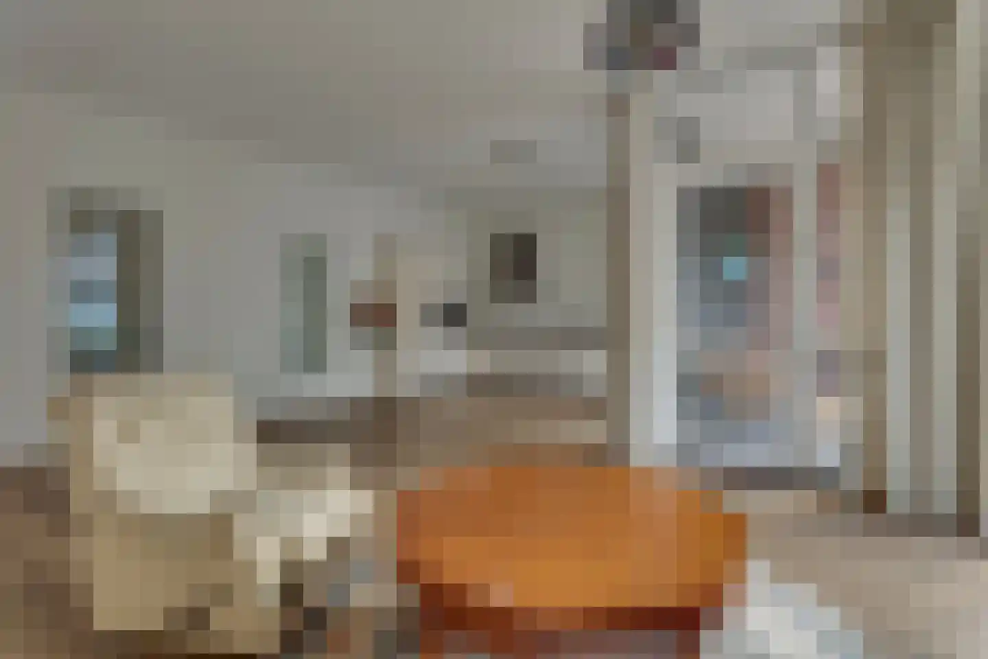 Verzetsstraat 14 Rijssen thumbnail 12