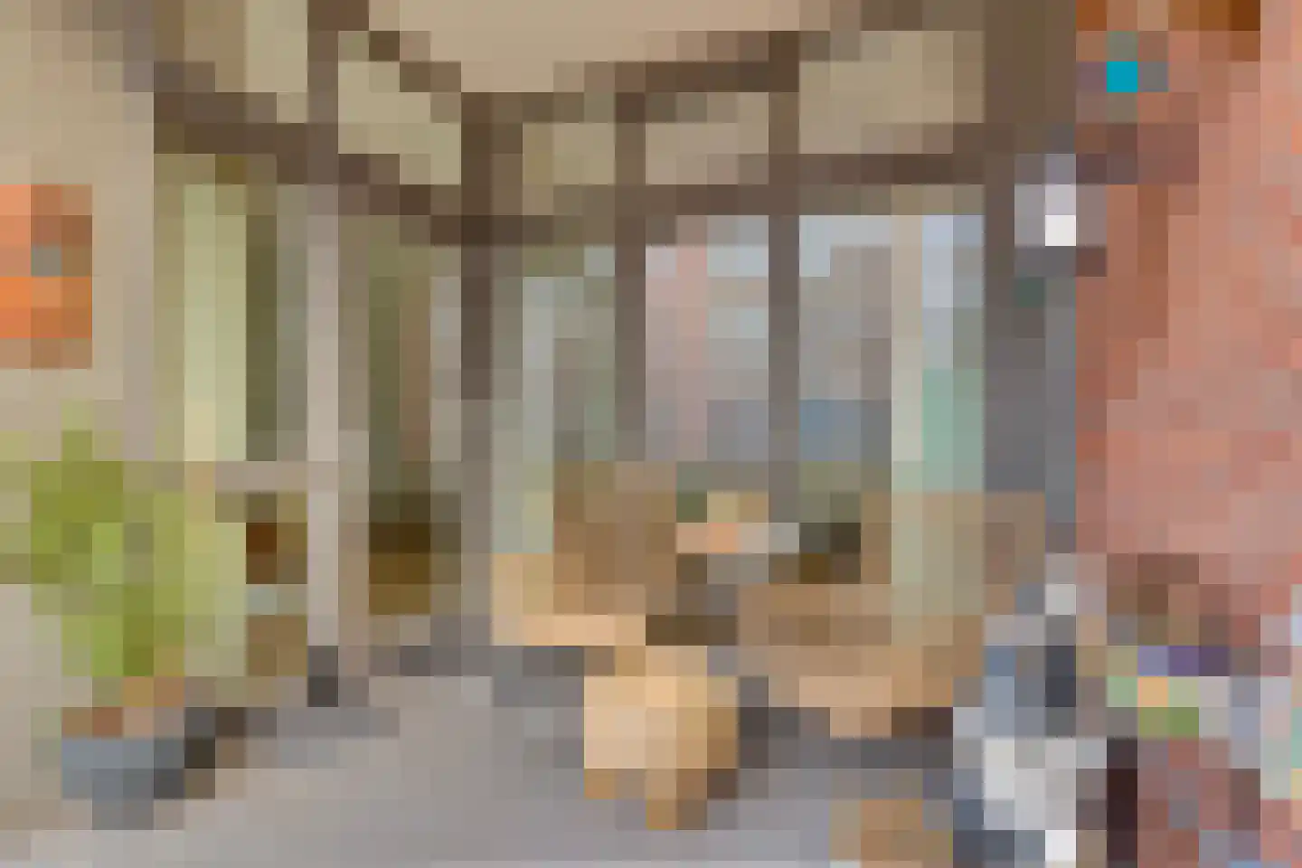 Verzetsstraat 14 Rijssen thumbnail 23