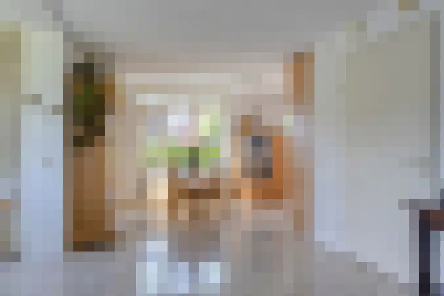 Verzetsstraat 4 Terwolde thumbnail 14
