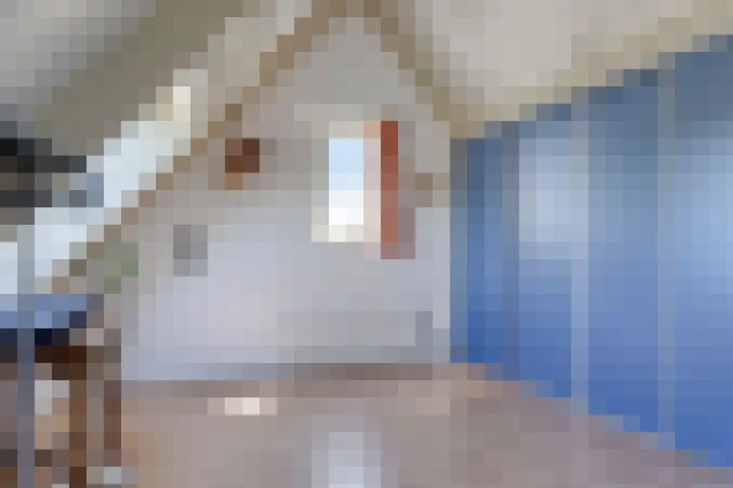 Verzetsstraat 4 Terwolde thumbnail 36