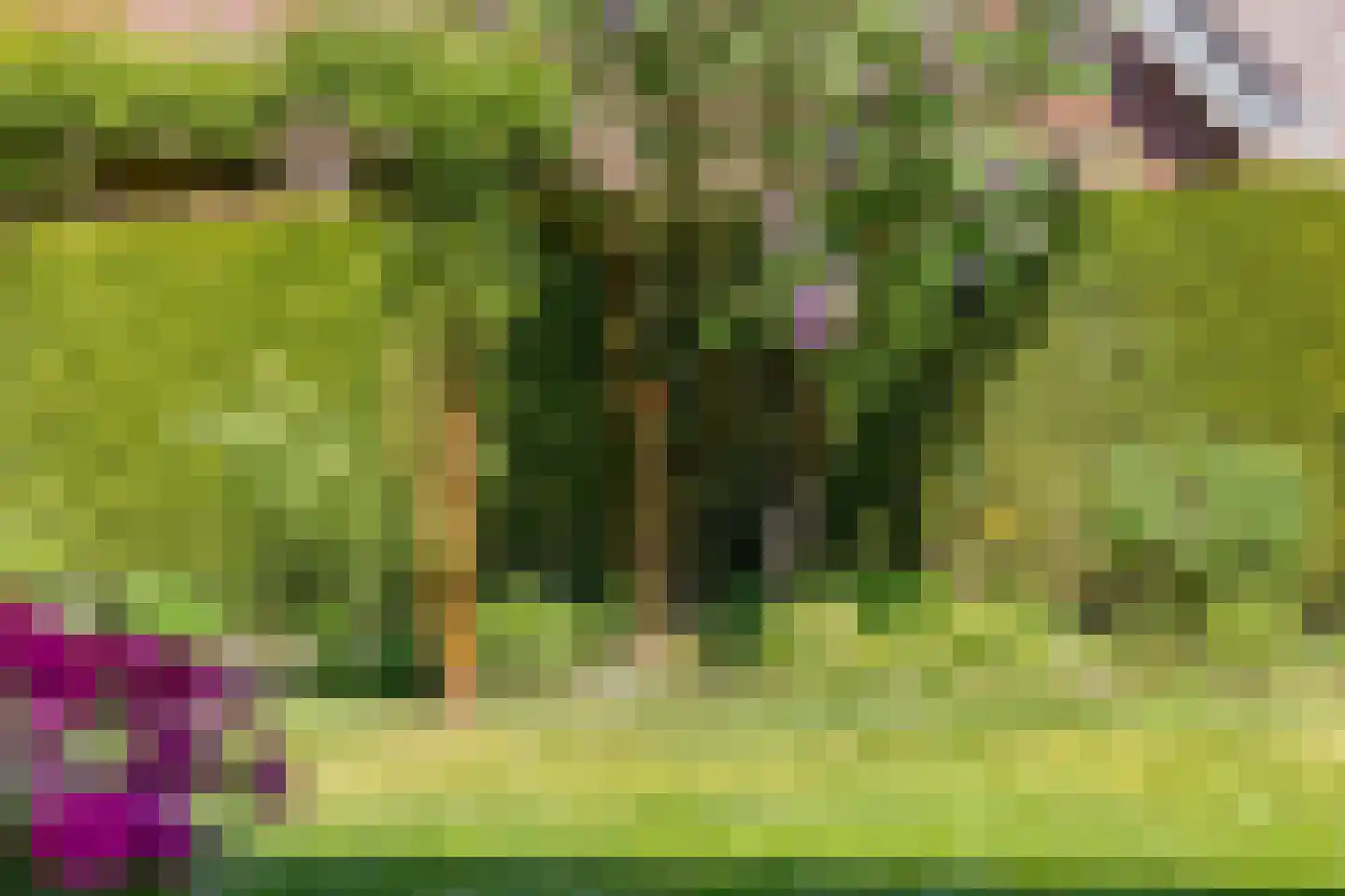 Verzetsstraat 4 Terwolde thumbnail 46
