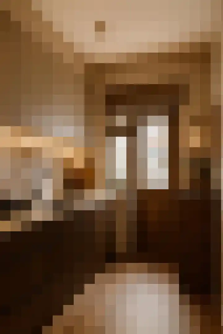 Verzetsstraat 68 Nieuwerkerk aan den IJssel thumbnail 18