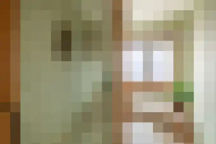 Verzetsstraat 68 Nieuwerkerk aan den IJssel thumbnail 25