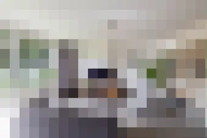 Verzetsstrijderslaan 106 Groningen thumbnail 20