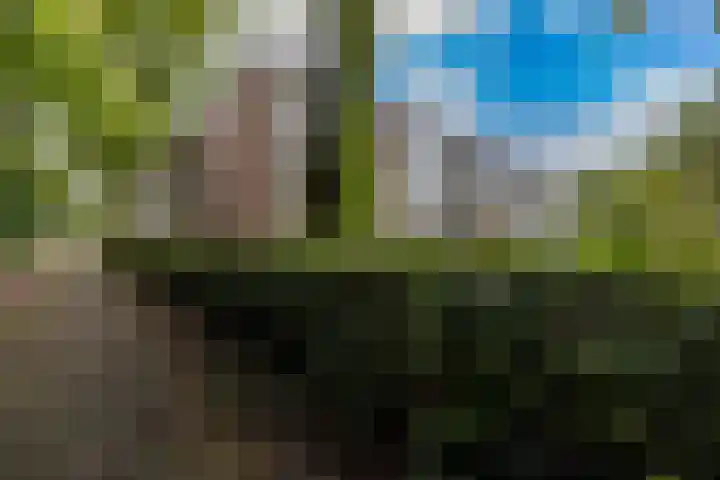 Verzetsstrijderslaan 106 Groningen thumbnail 7