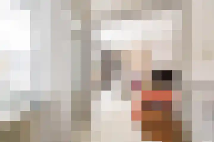 Verzetsstrijderslaan 116 Groningen thumbnail 20