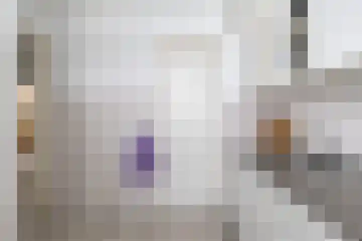 Verzetsstrijderslaan 116 Groningen thumbnail 30