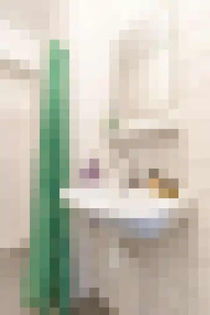 Verzetsstrijderslaan 116 Groningen thumbnail 36