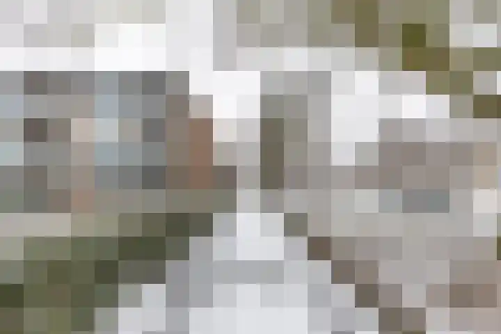 Verzetsstrijderslaan 116 Groningen thumbnail 6