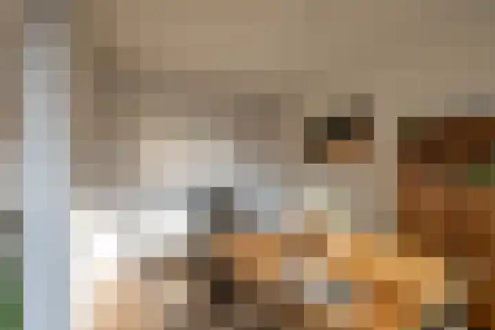 Verzetsstrijderslaan 118 Groningen thumbnail 10
