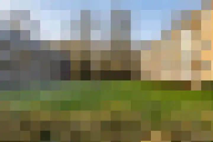 Verzetsstrijderslaan 118 Groningen thumbnail 31