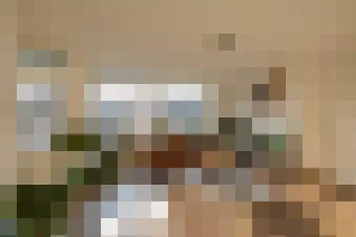 Verzetsstrijderslaan 118 Groningen thumbnail 5