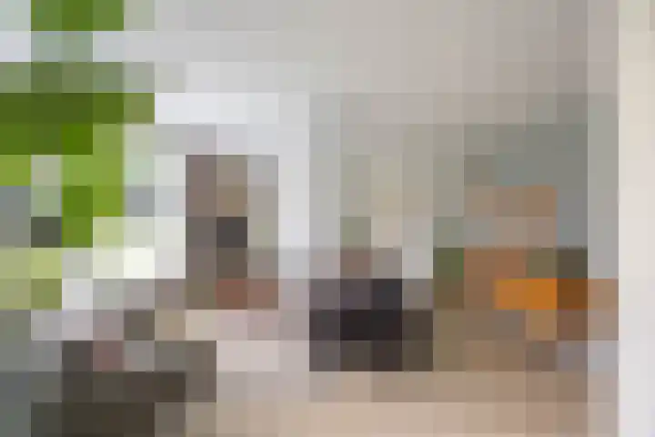 Verzetsstrijderslaan 142 Groningen thumbnail 16