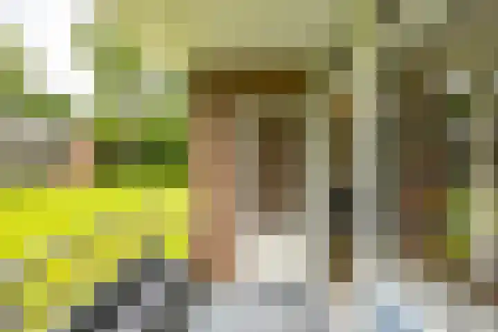 Verzetsstrijderslaan 142 Groningen thumbnail 31