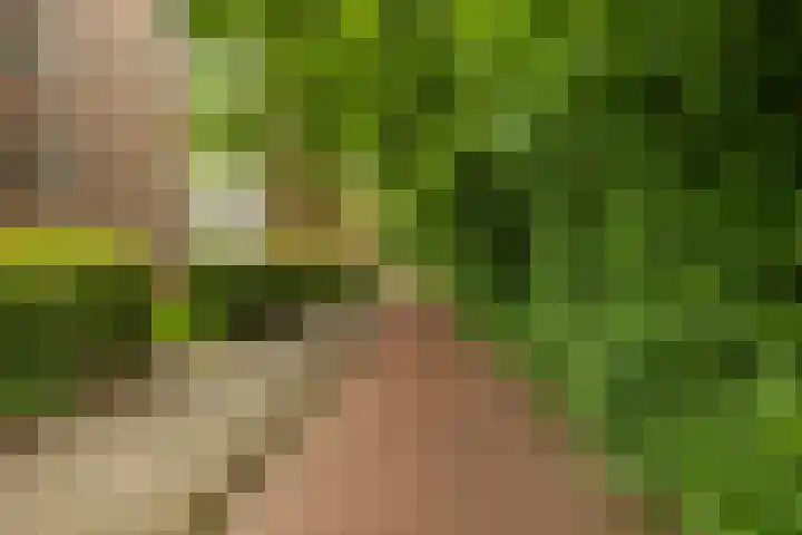 Verzetsstrijderslaan 142 Groningen thumbnail 33