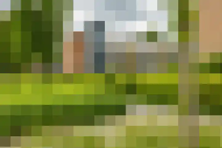 Verzetsstrijderslaan 142 Groningen thumbnail 34