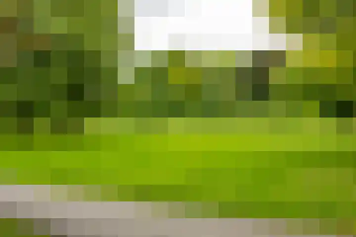 Verzetsstrijderslaan 142 Groningen thumbnail 37