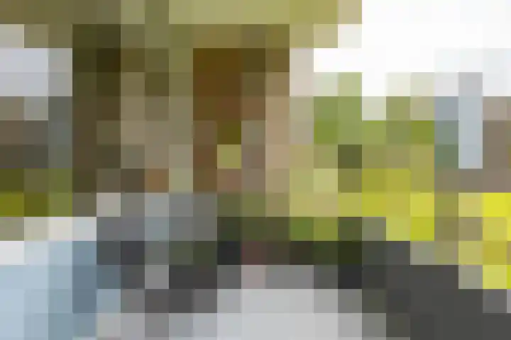 Verzetsstrijderslaan 142 Groningen thumbnail 4