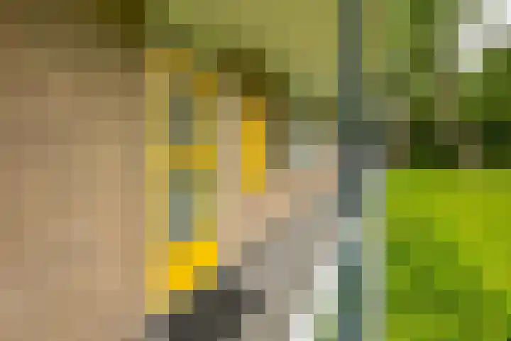 Verzetsstrijderslaan 142 Groningen thumbnail 8