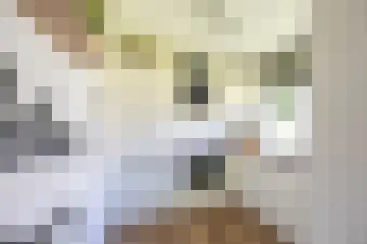 Verzetsstrijderslaan 18 Groningen thumbnail 10
