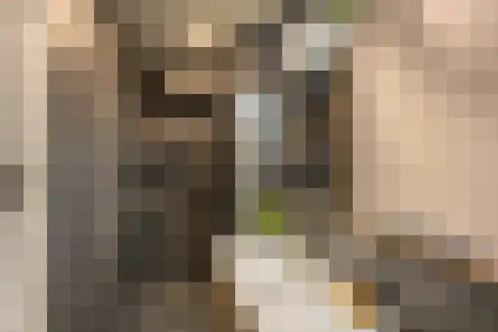 Verzetsstrijderslaan 18 Groningen thumbnail 16