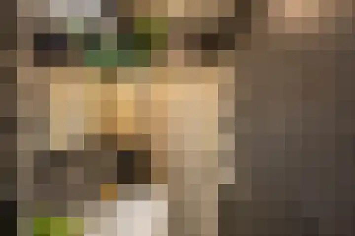 Verzetsstrijderslaan 18 Groningen thumbnail 17