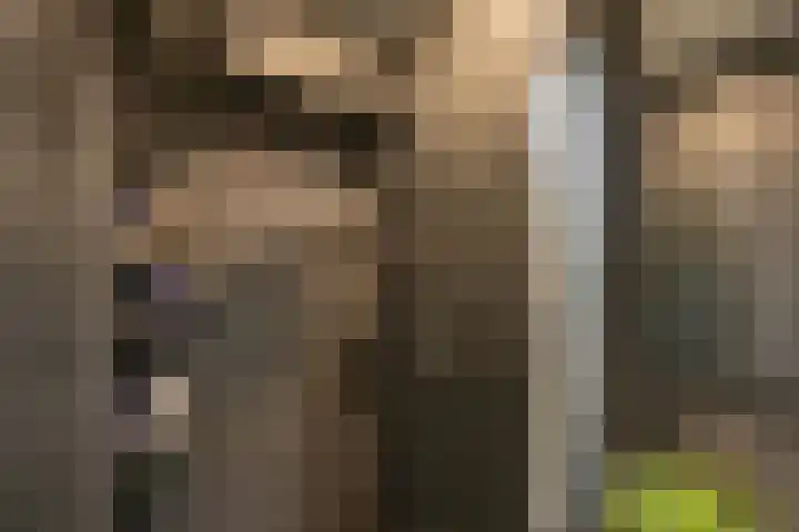 Verzetsstrijderslaan 18 Groningen thumbnail 18