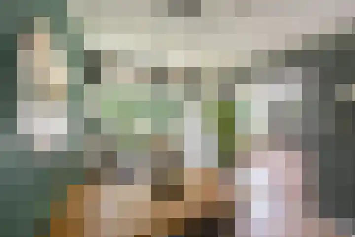 Verzetsstrijderslaan 18 Groningen thumbnail 27