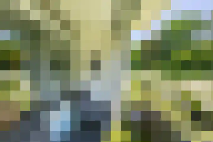 Verzetsstrijderslaan 18 Groningen thumbnail 34