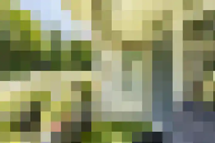 Verzetsstrijderslaan 18 Groningen thumbnail 35